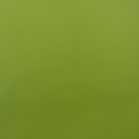 1mm Cowhide Apple Green A4